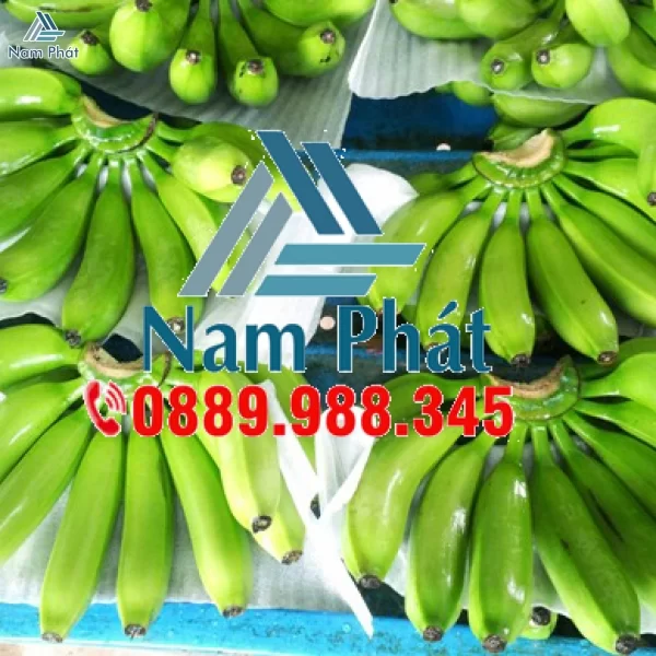 Màng Xốp Lót Dâu Xuất Khẩu Tại Nam Phát